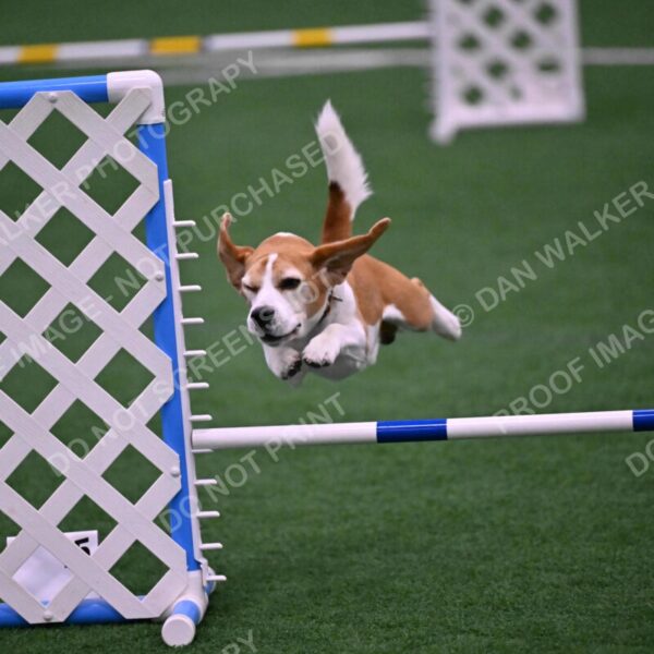 Kanan-Ursula-Lehman-00187