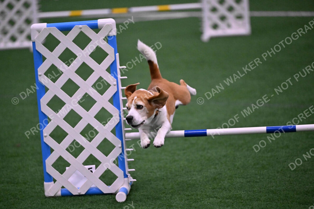 Kanan-Ursula-Lehman-00188