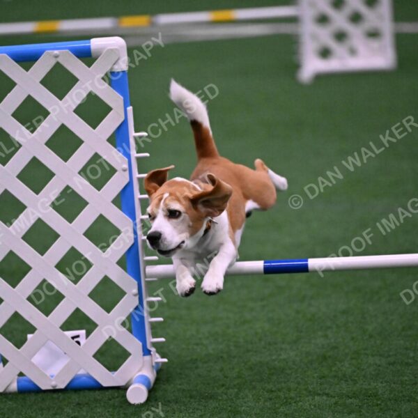 Kanan-Ursula-Lehman-00188