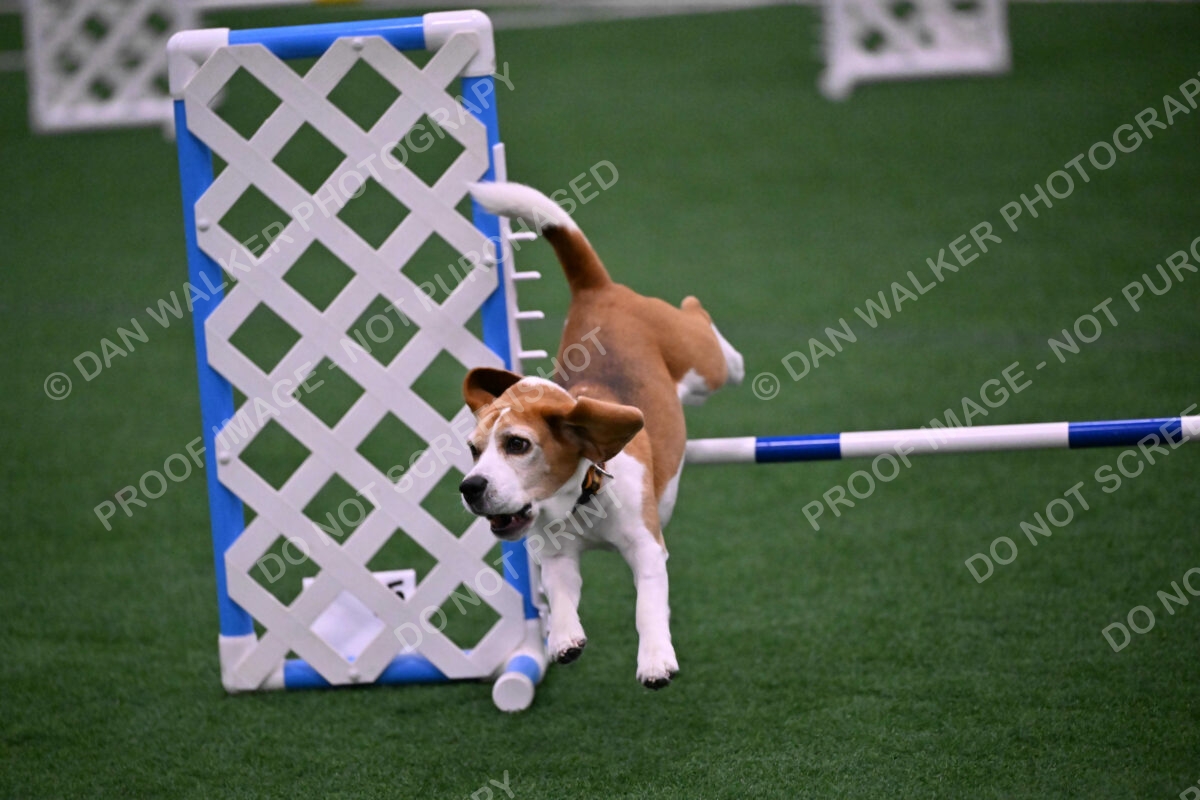 Kanan-Ursula-Lehman-00189