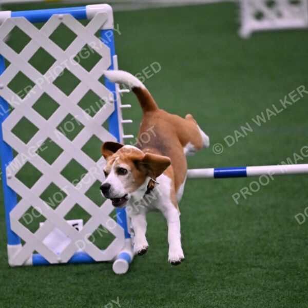 Kanan-Ursula-Lehman-00189