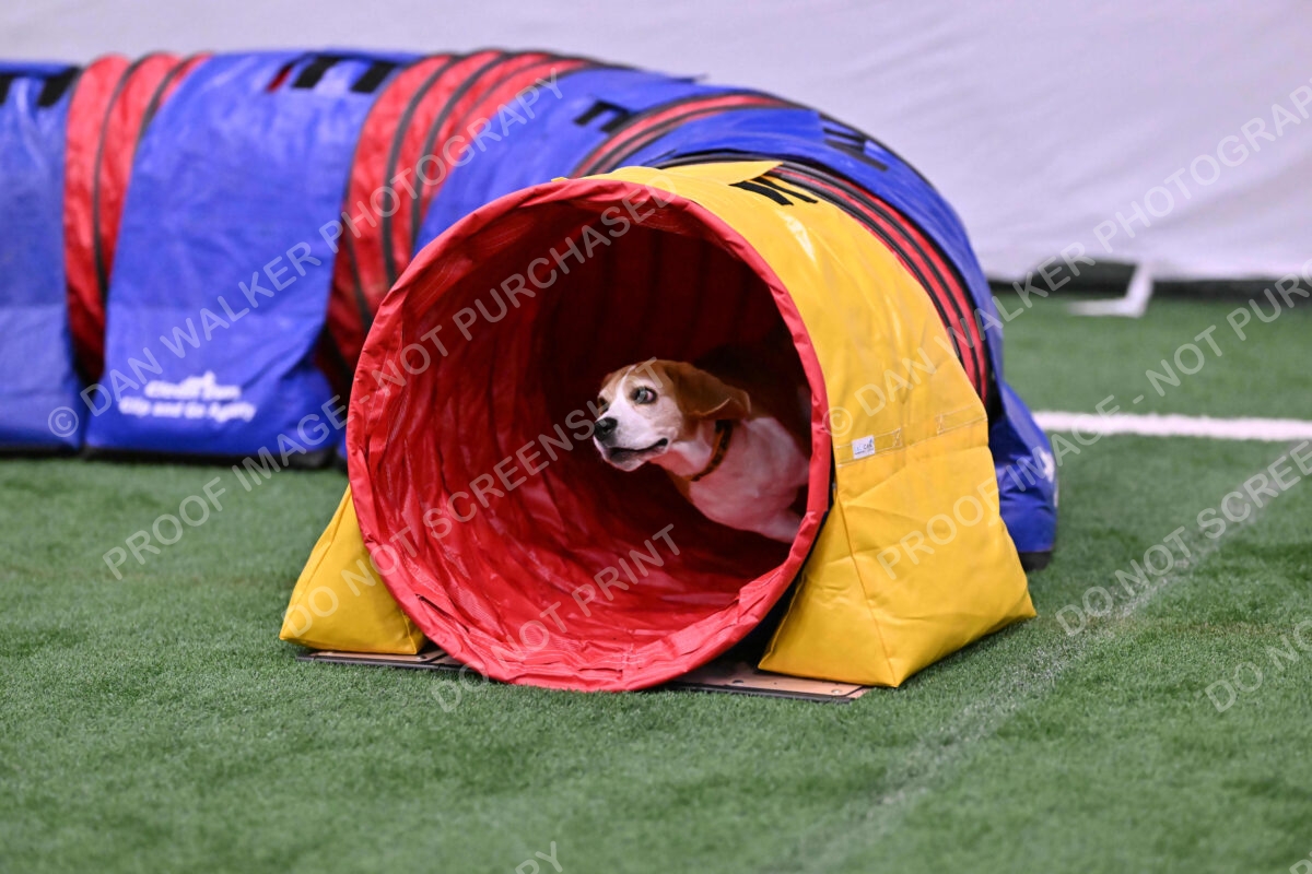 Kanan-Ursula-Lehman-00192