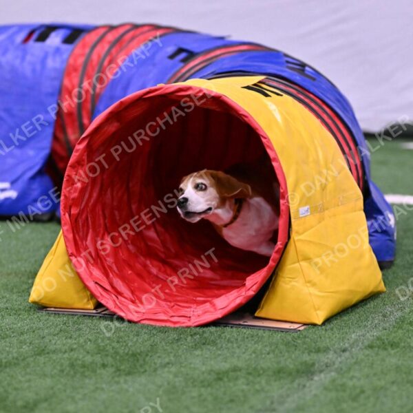 Kanan-Ursula-Lehman-00192