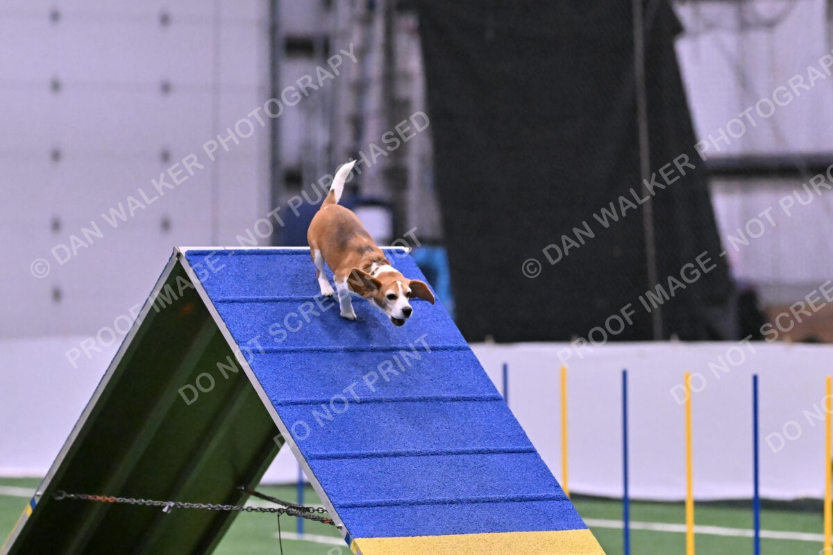 Kanan-Ursula-Lehman-00199