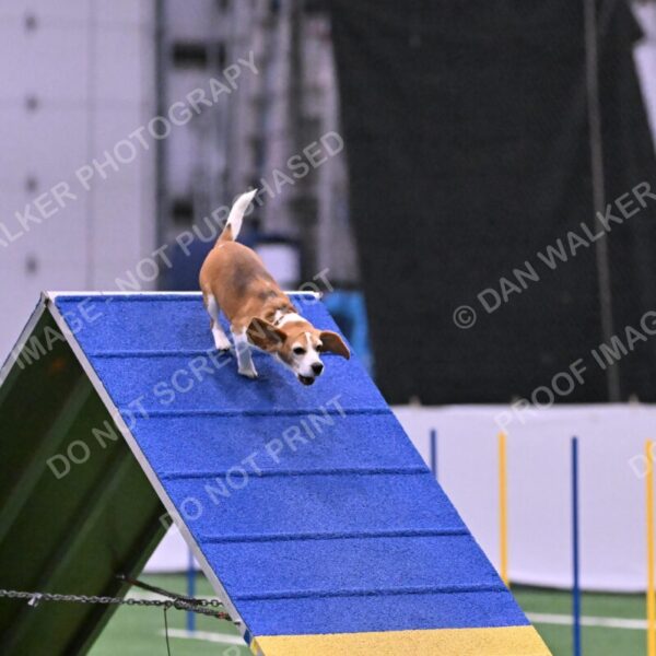 Kanan-Ursula-Lehman-00199