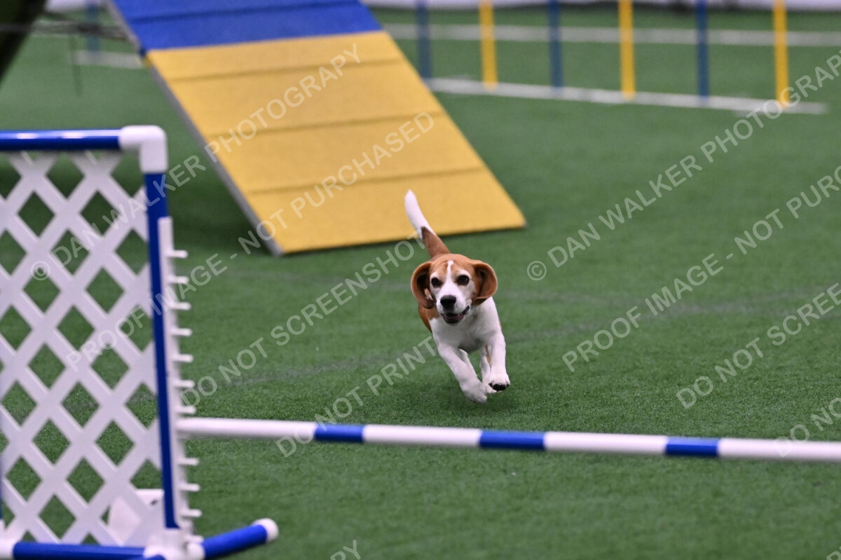 Kanan-Ursula-Lehman-00202