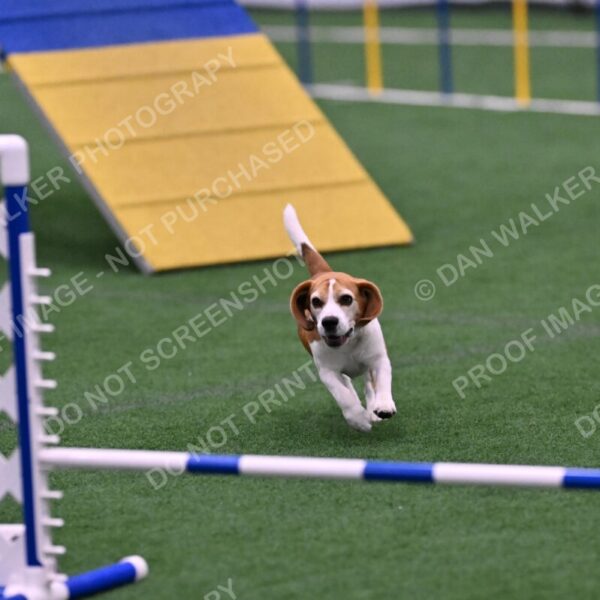 Kanan-Ursula-Lehman-00202