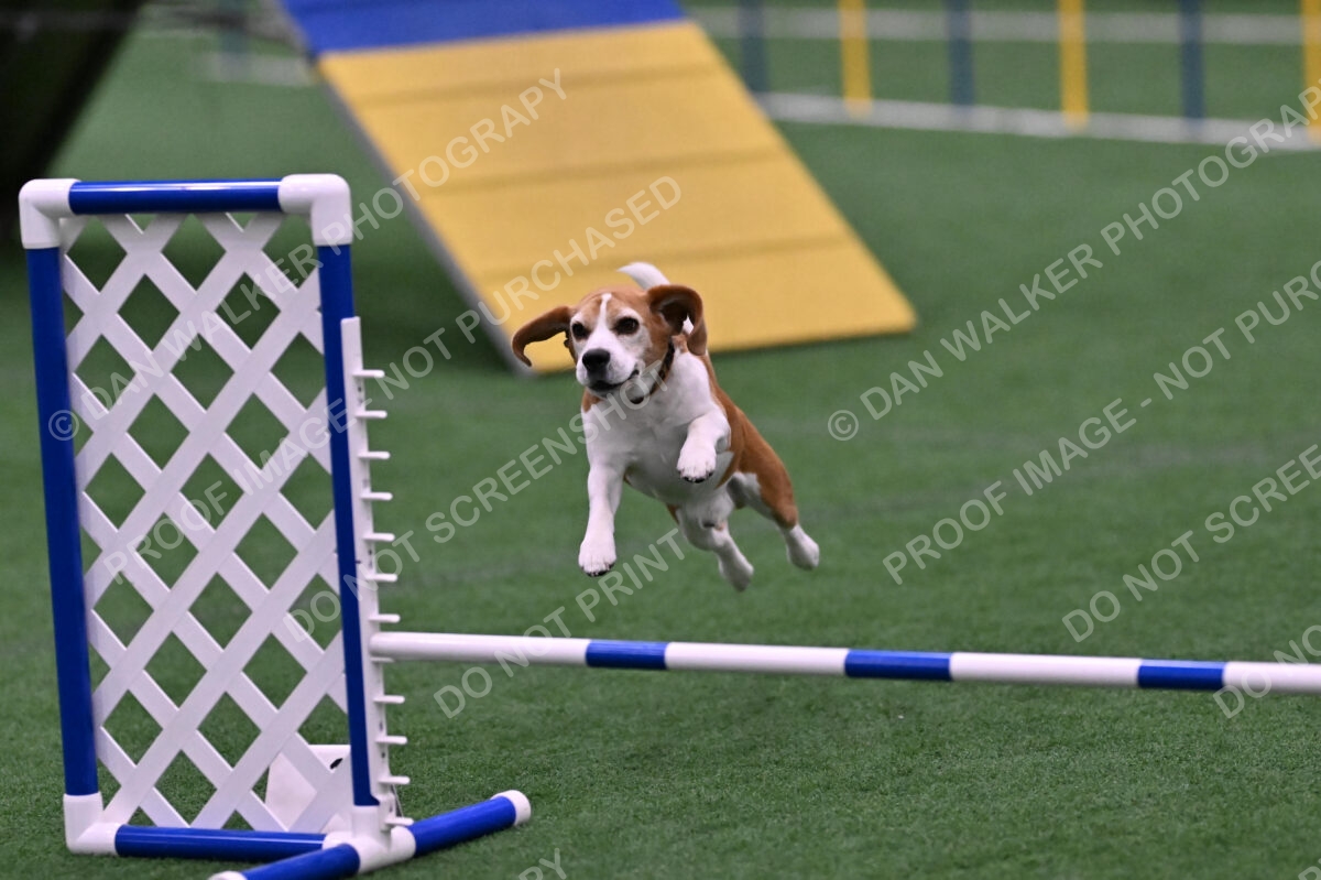 Kanan-Ursula-Lehman-00205