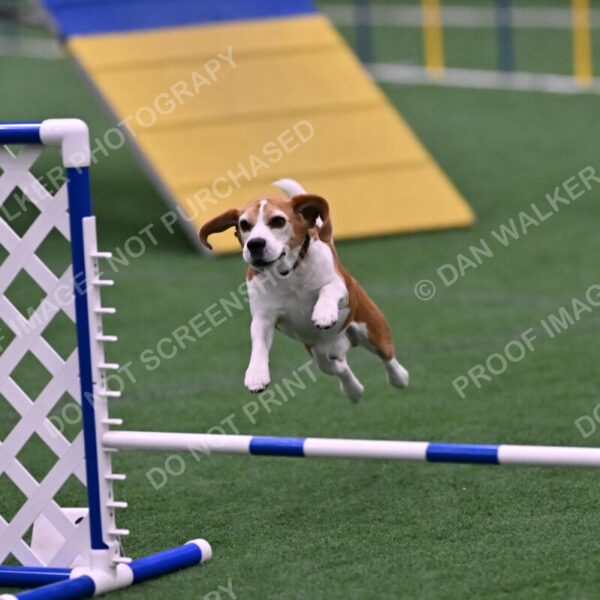 Kanan-Ursula-Lehman-00205