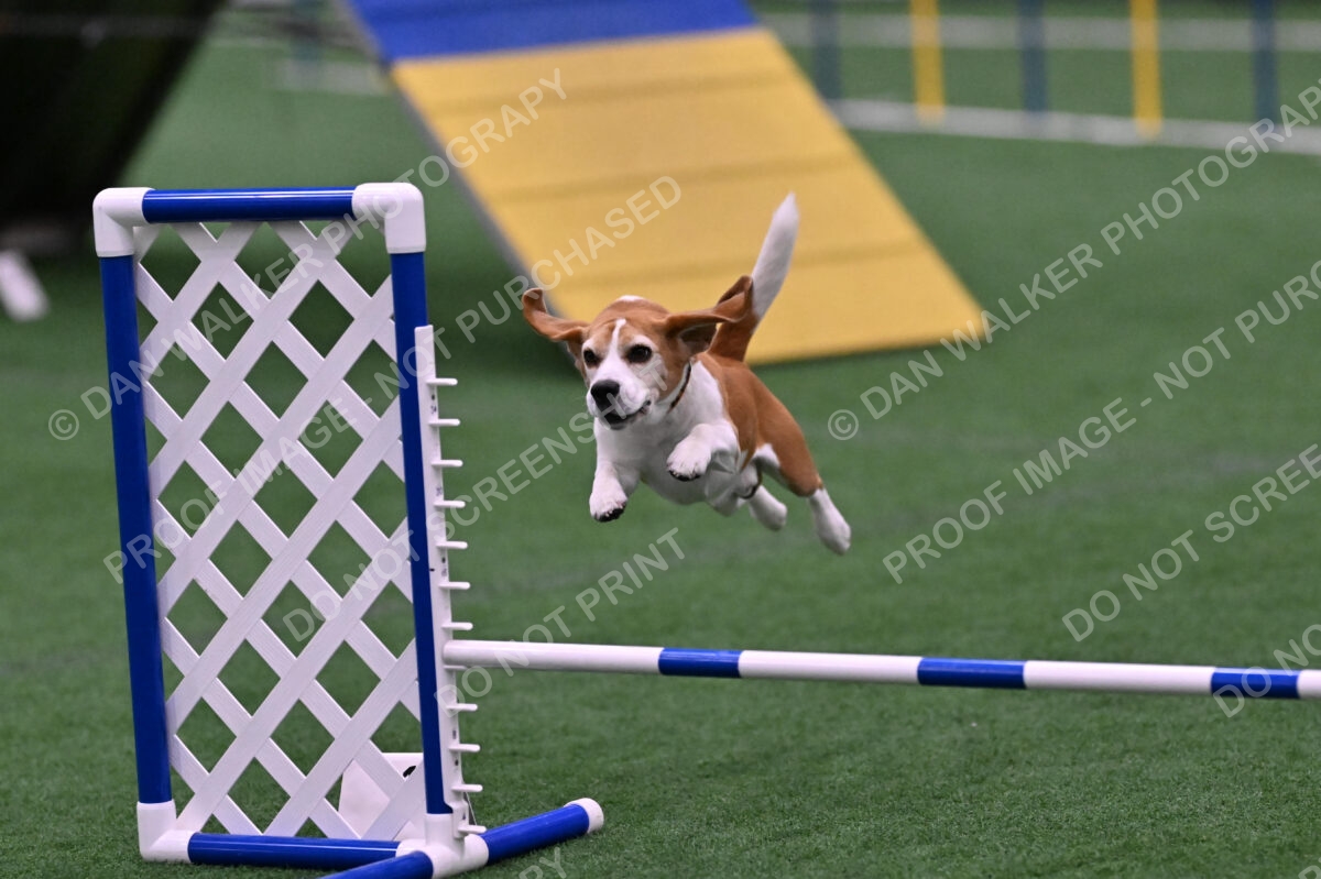 Kanan-Ursula-Lehman-00206