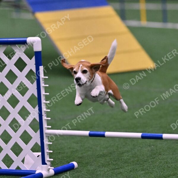 Kanan-Ursula-Lehman-00206