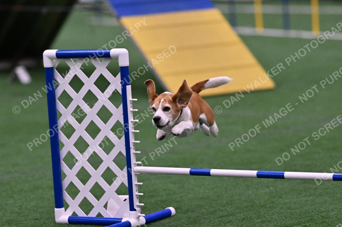 Kanan-Ursula-Lehman-00207