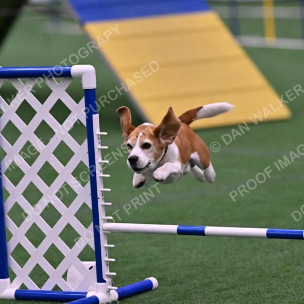 Kanan-Ursula-Lehman-00207