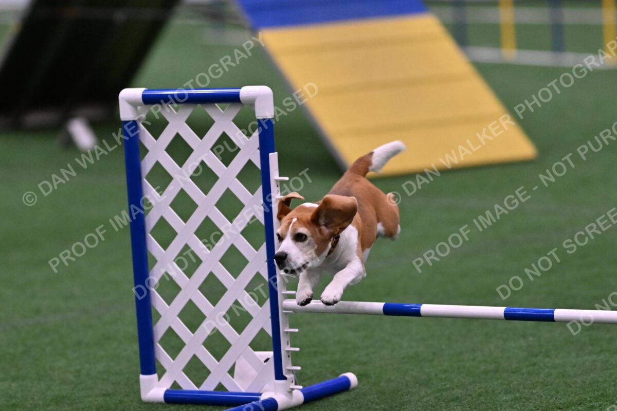 Kanan-Ursula-Lehman-00208