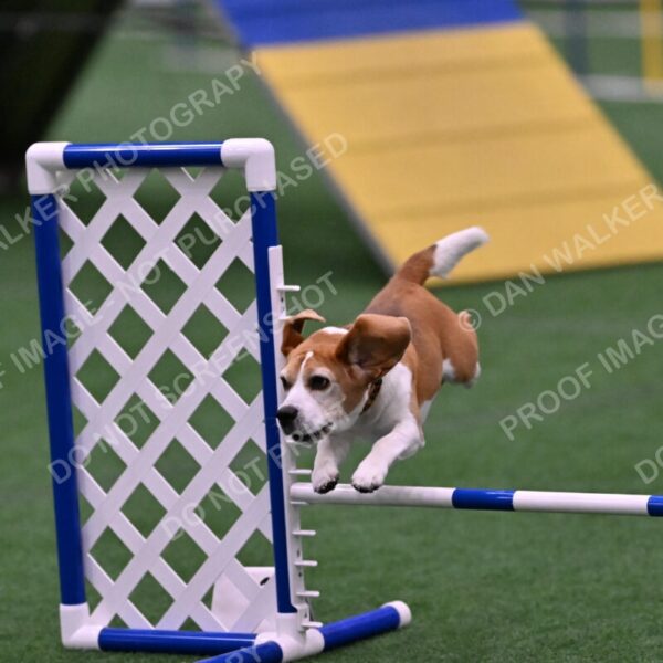 Kanan-Ursula-Lehman-00208