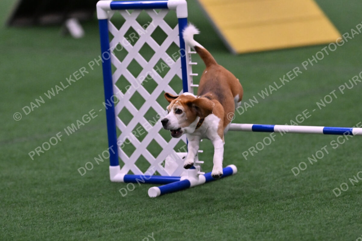 Kanan-Ursula-Lehman-00209