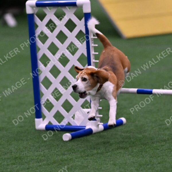 Kanan-Ursula-Lehman-00209