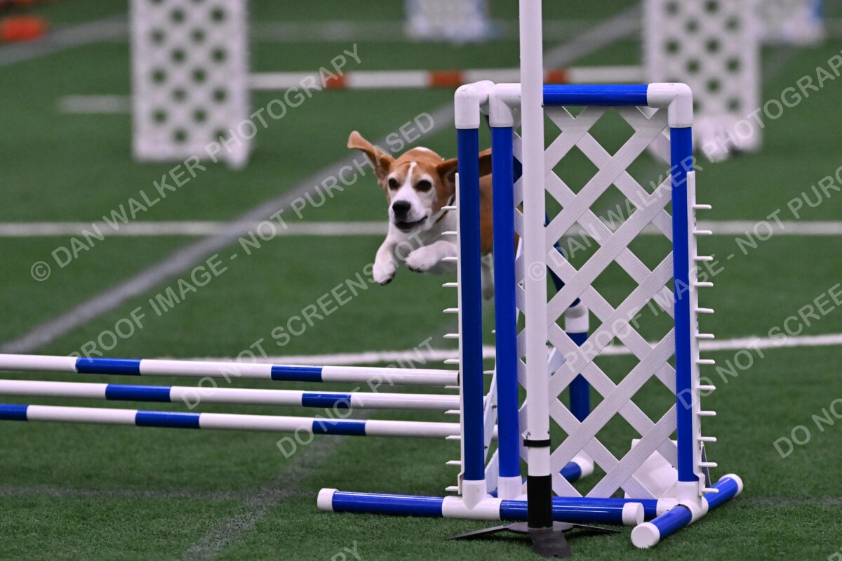 Kanan-Ursula-Lehman-00210