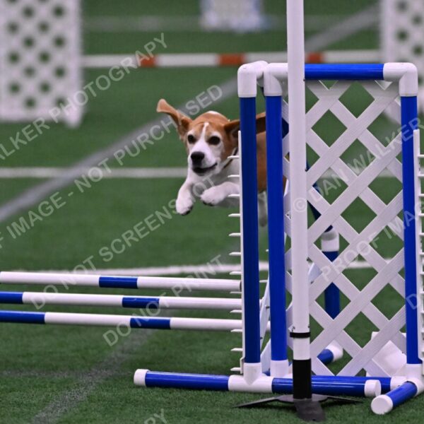 Kanan-Ursula-Lehman-00210