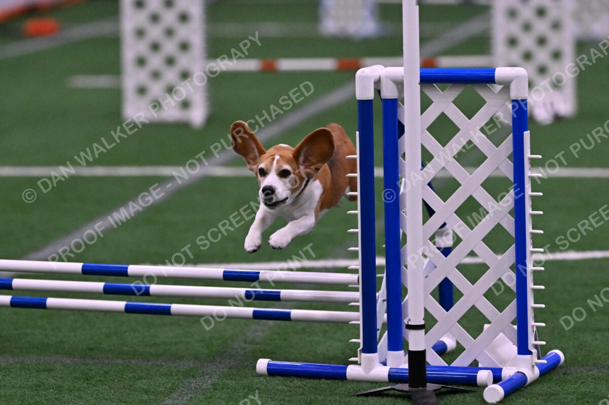 Kanan-Ursula-Lehman-00211