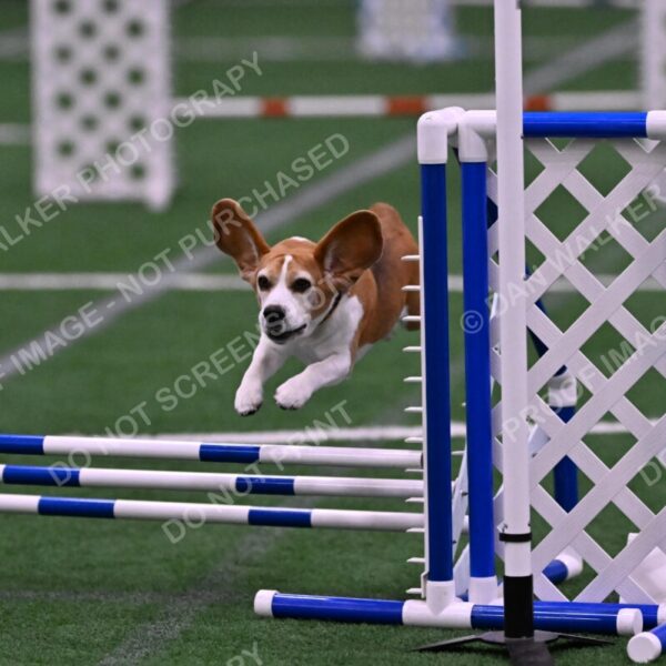 Kanan-Ursula-Lehman-00211