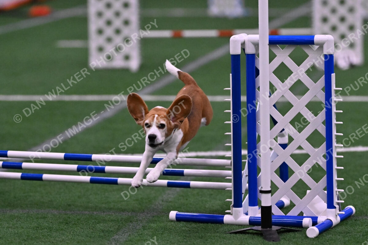 Kanan-Ursula-Lehman-00212