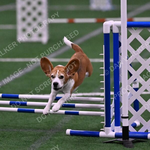 Kanan-Ursula-Lehman-00212