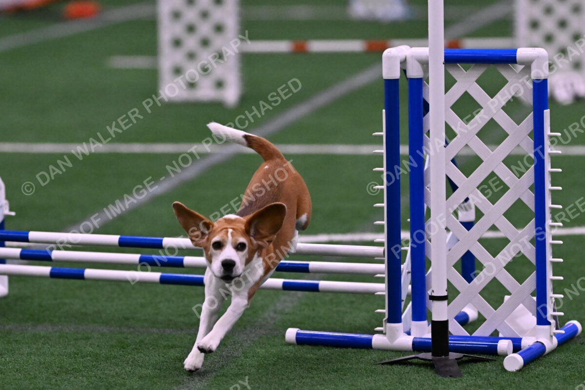 Kanan-Ursula-Lehman-00213