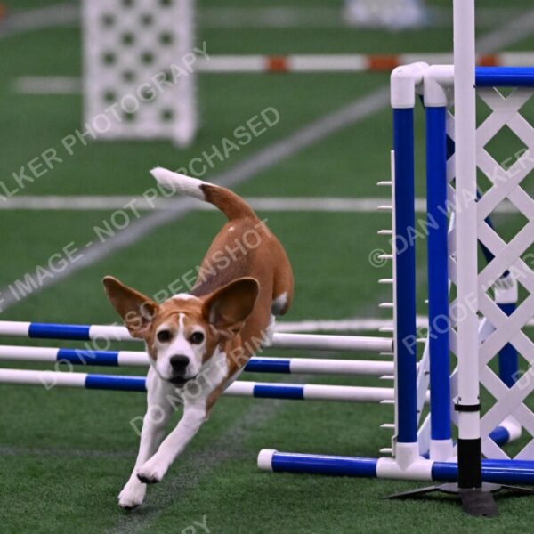 Kanan-Ursula-Lehman-00213