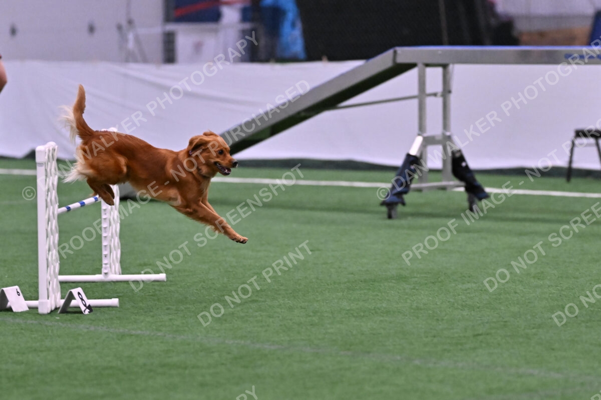 Kismet-Julianna-Lobosky-08597