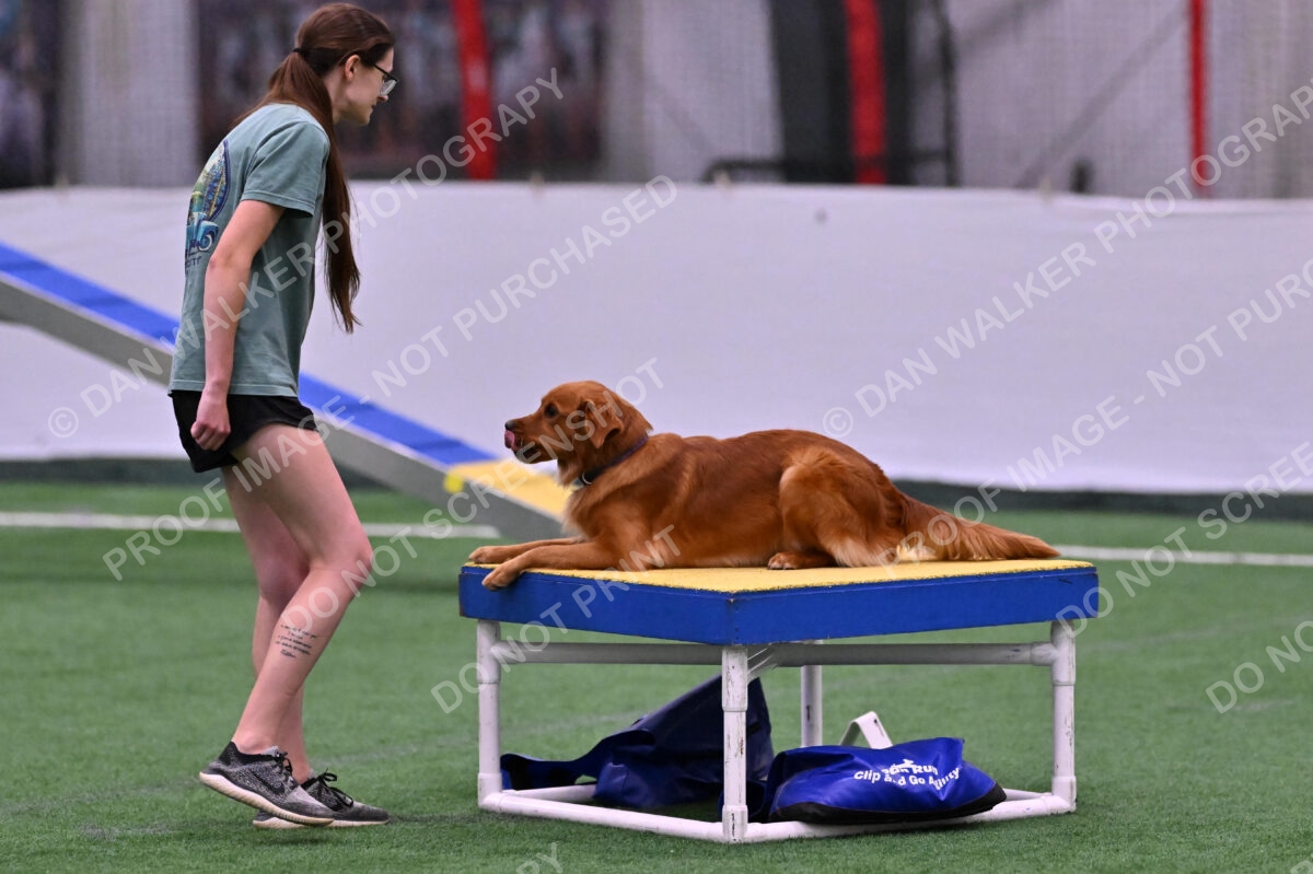 Kismet-Julianna-Lobosky-08598