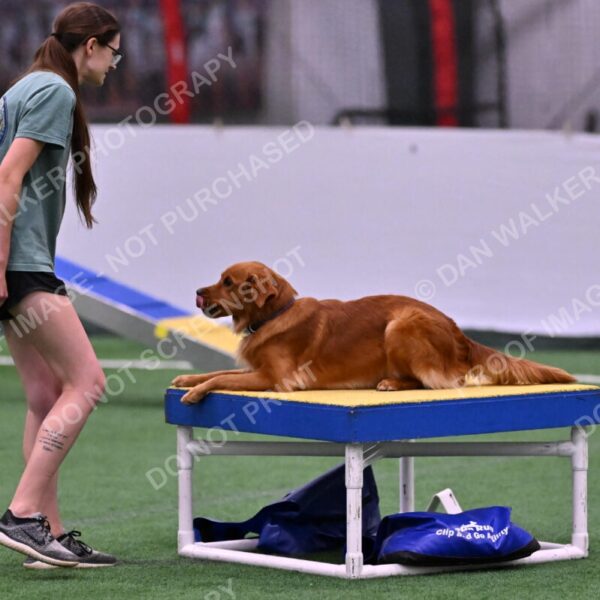 Kismet-Julianna-Lobosky-08598