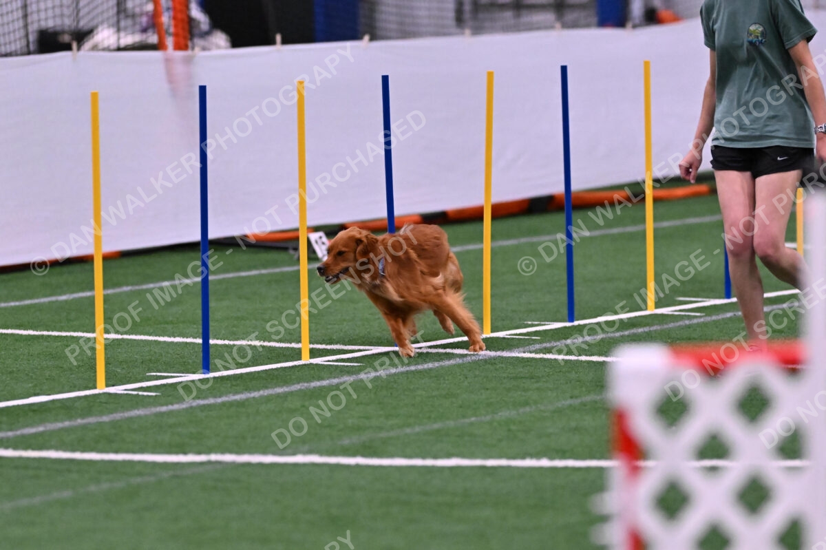 Kismet-Julianna-Lobosky-08616