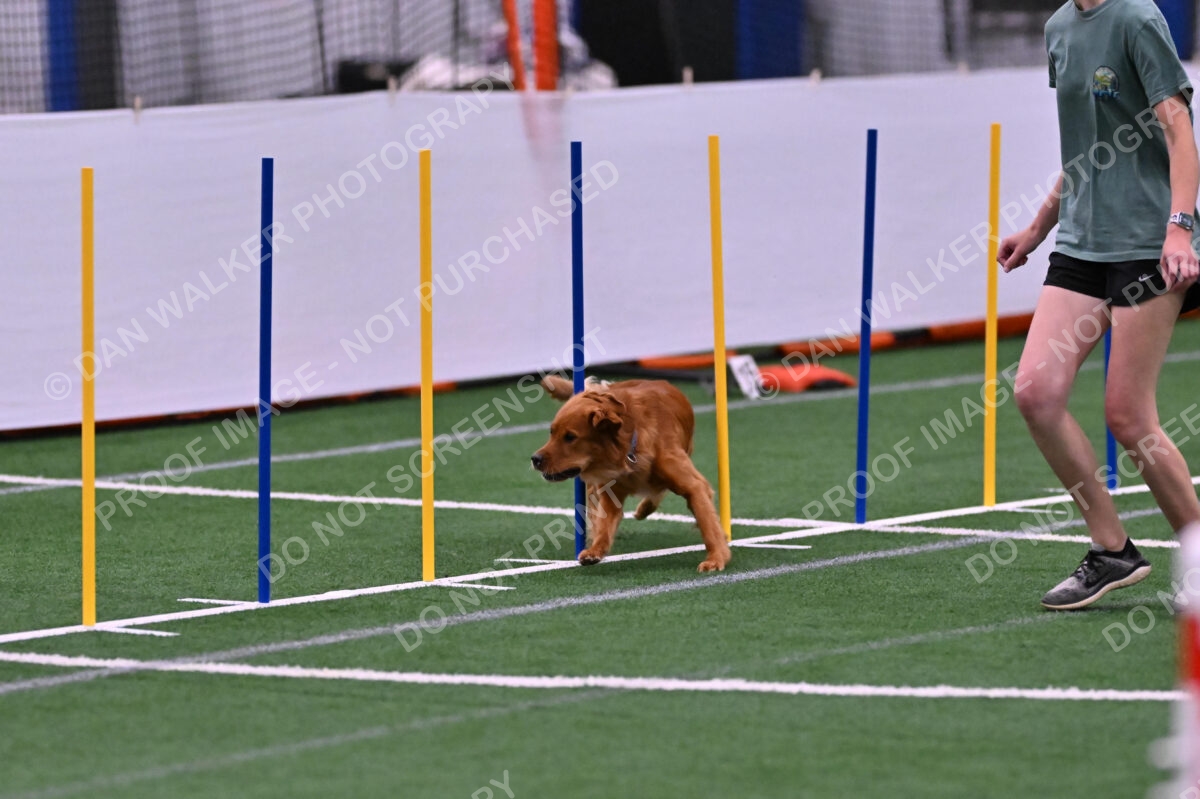 Kismet-Julianna-Lobosky-08619