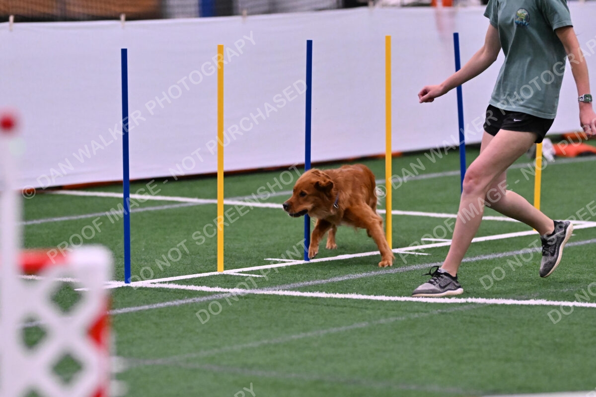 Kismet-Julianna-Lobosky-08625