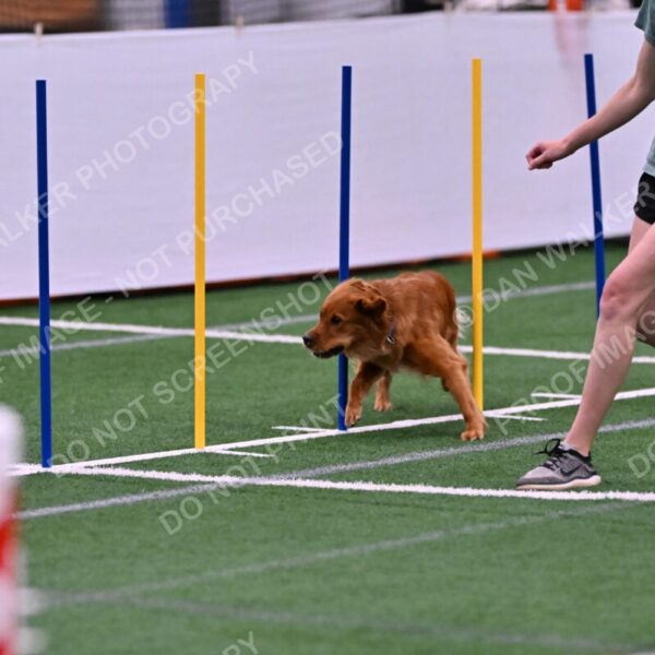 Kismet-Julianna-Lobosky-08625