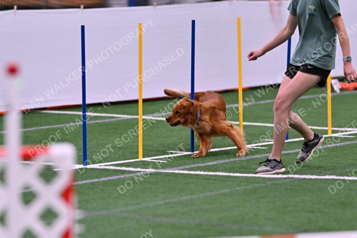 Kismet-Julianna-Lobosky-08626