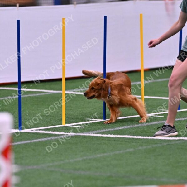 Kismet-Julianna-Lobosky-08626