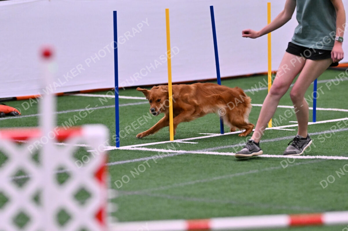 Kismet-Julianna-Lobosky-08628