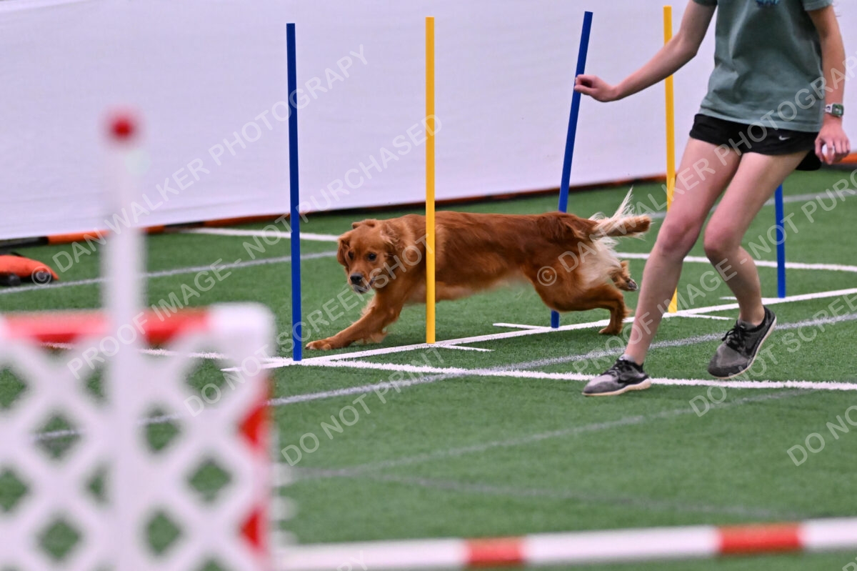 Kismet-Julianna-Lobosky-08629