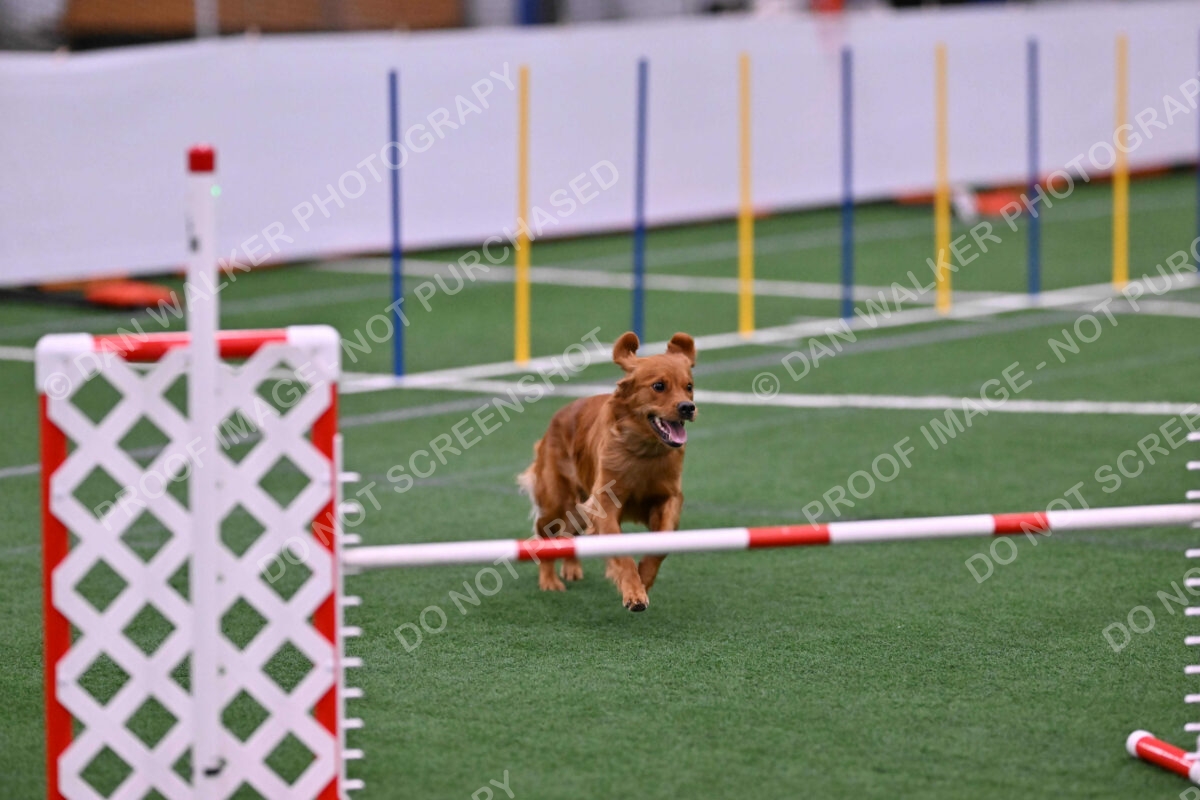 Kismet-Julianna-Lobosky-08630