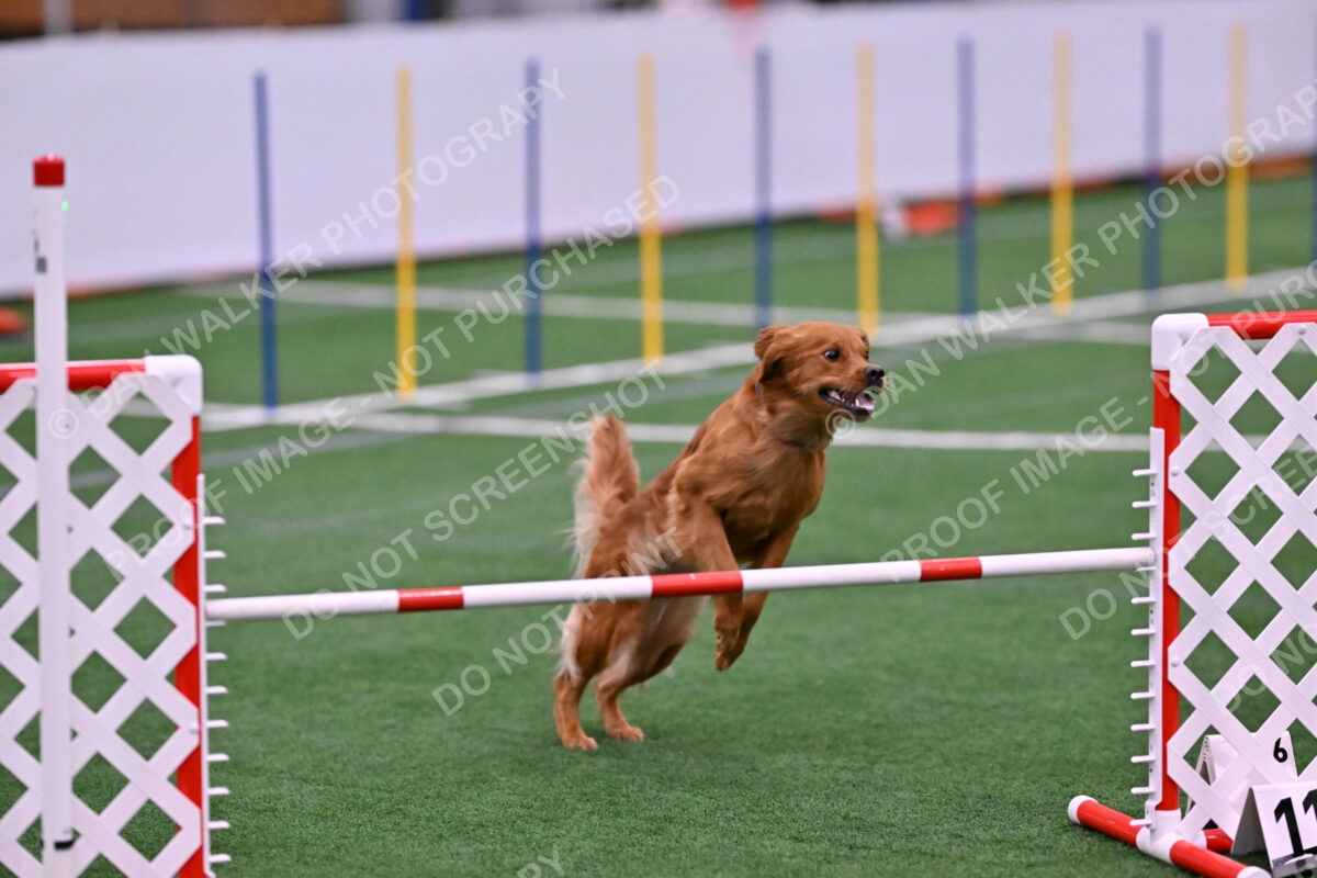 Kismet-Julianna-Lobosky-08633