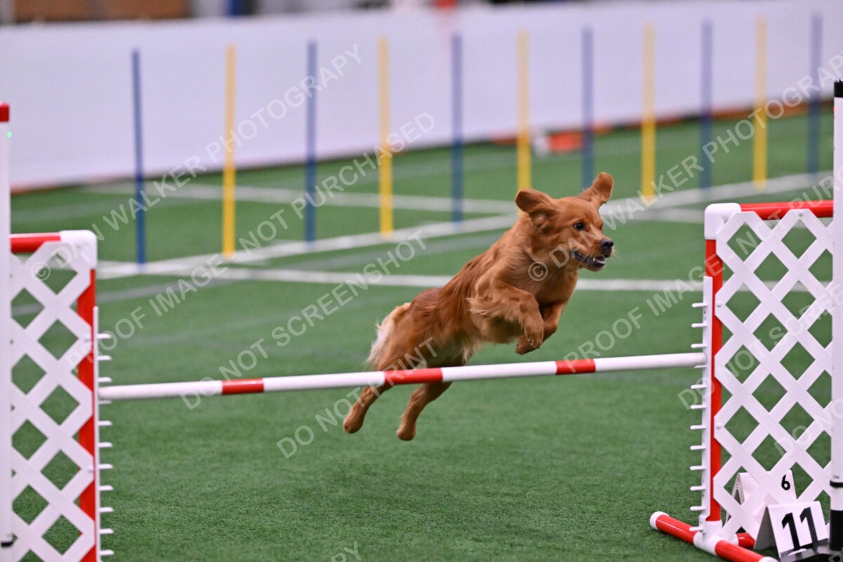 Kismet-Julianna-Lobosky-08634