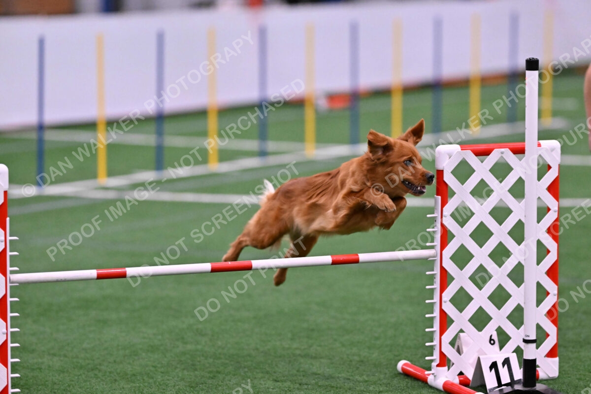 Kismet-Julianna-Lobosky-08635