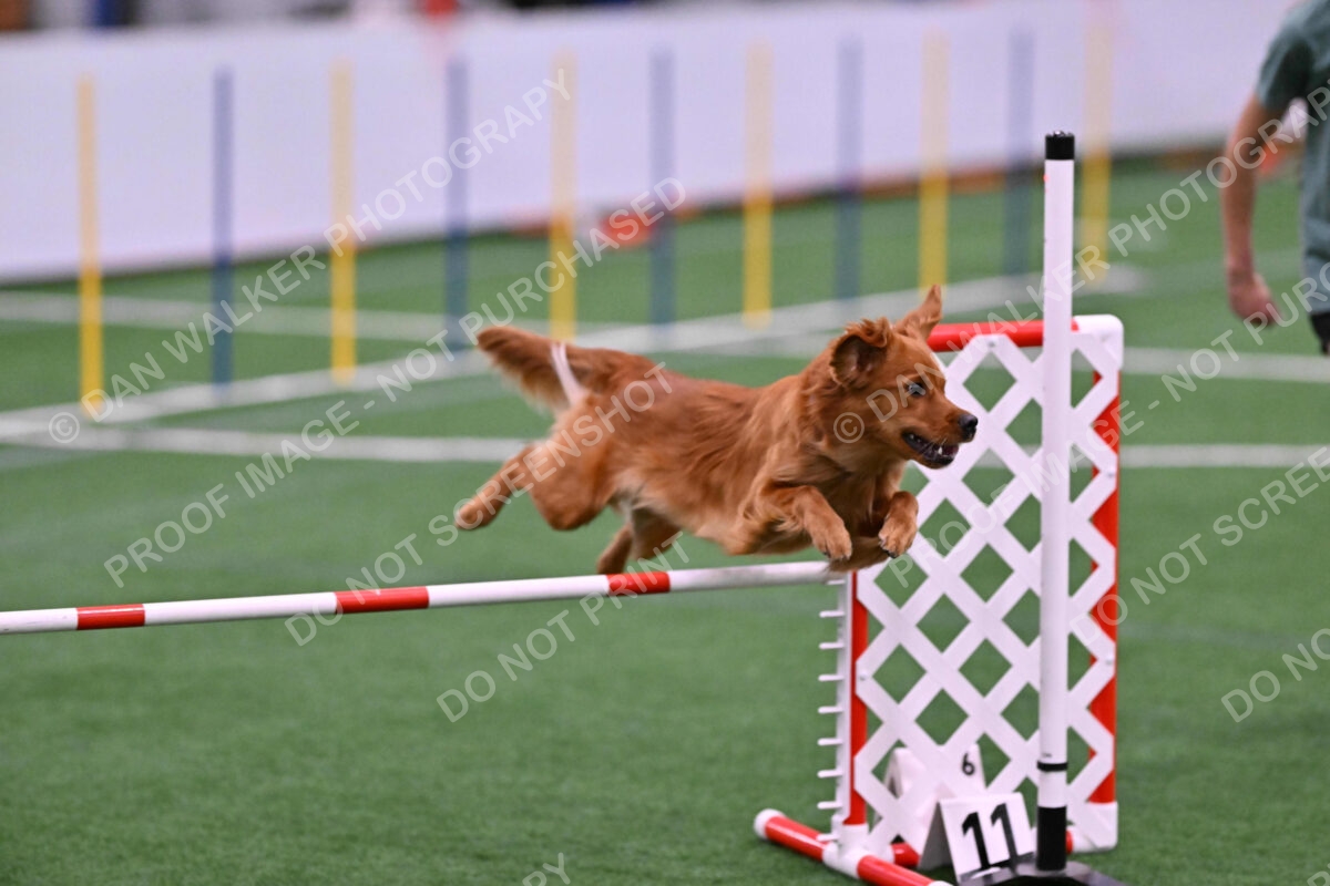 Kismet-Julianna-Lobosky-08636