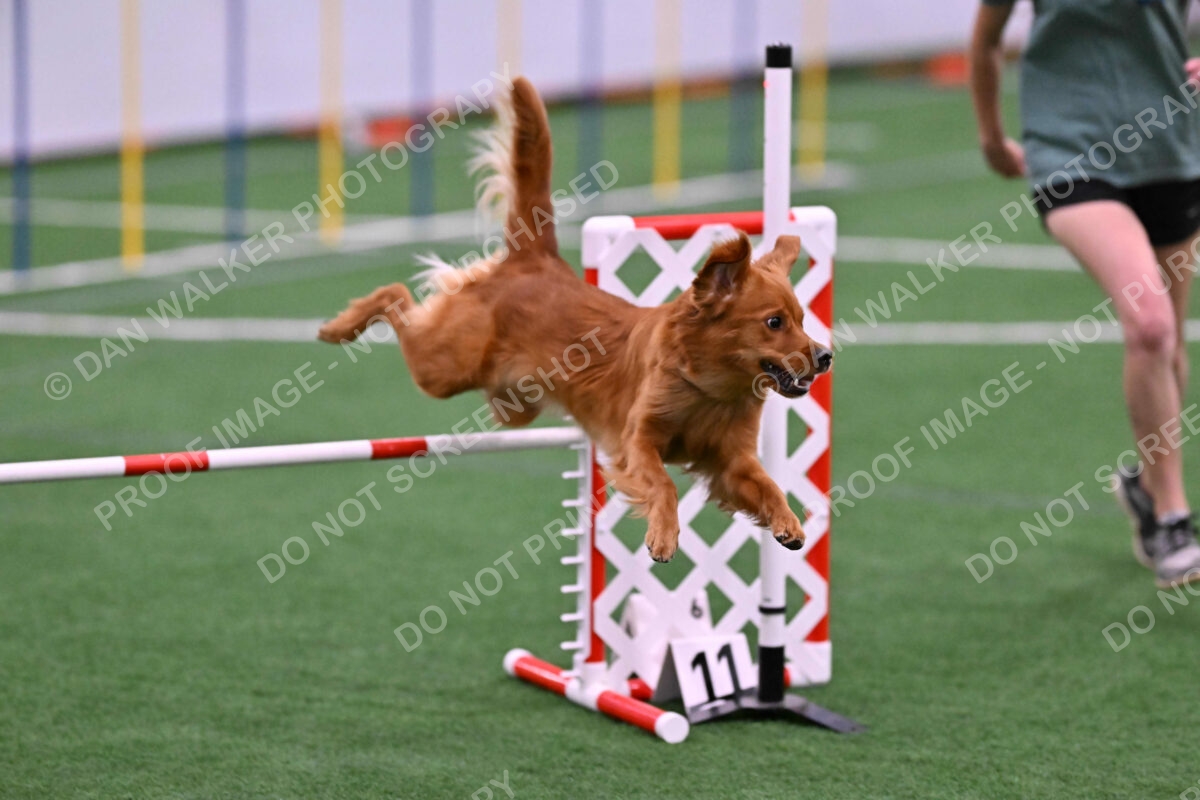 Kismet-Julianna-Lobosky-08637