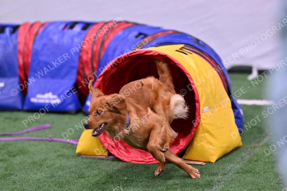 Kismet-Julianna-Lobosky-08647