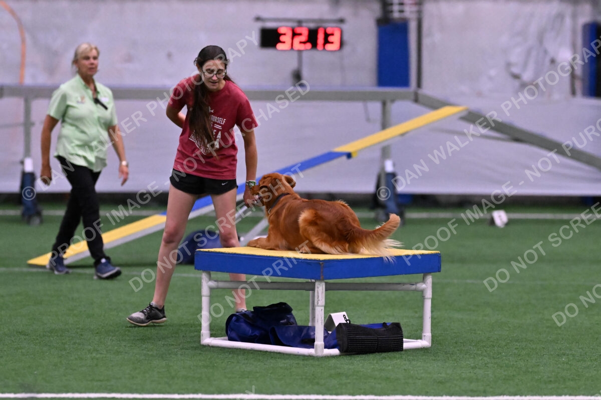 Kismet-Julianna-Lobosky-08651