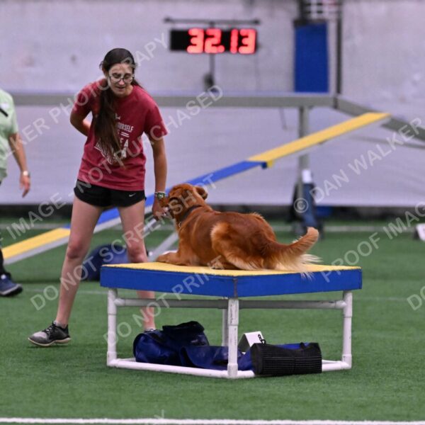 Kismet-Julianna-Lobosky-08651