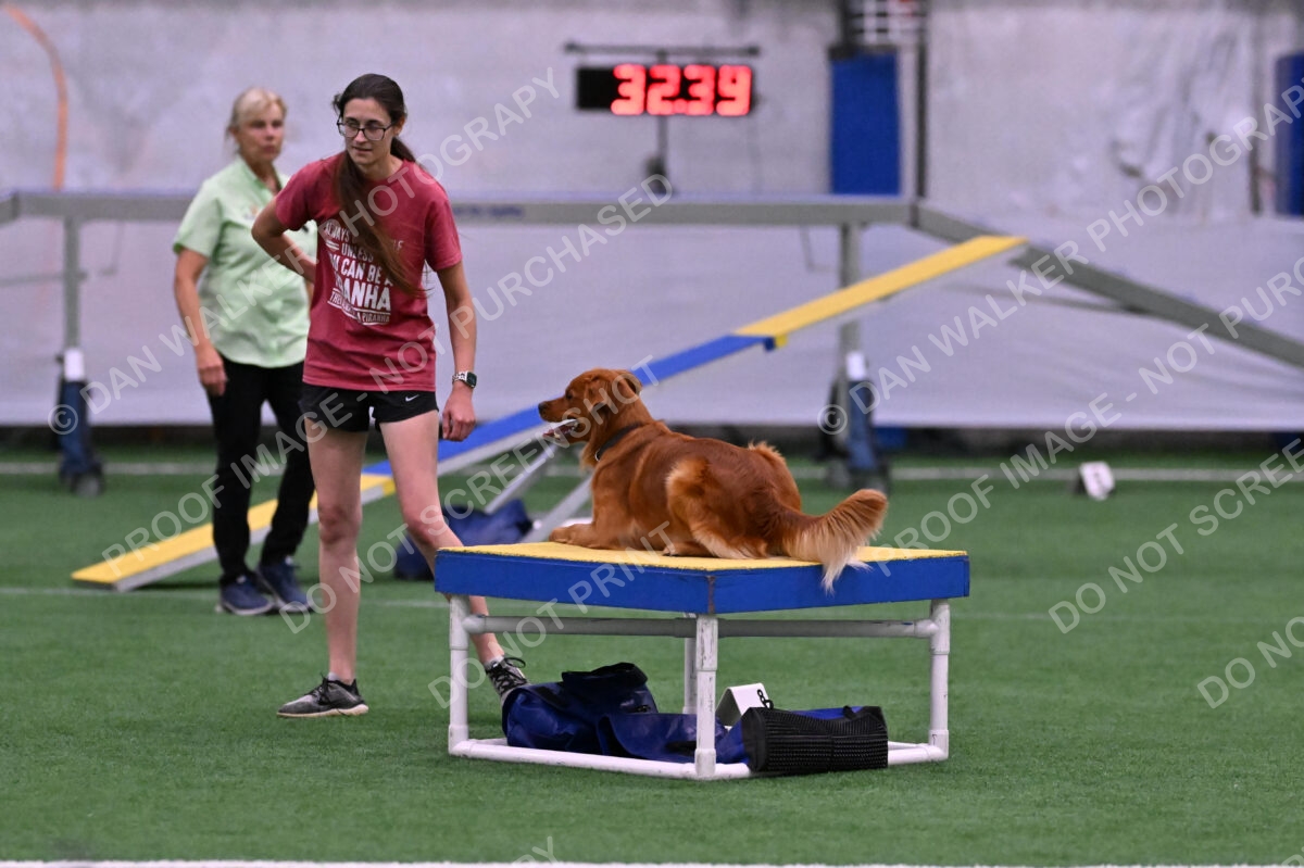 Kismet-Julianna-Lobosky-08652